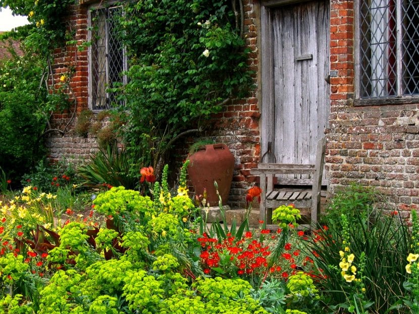 Plantas mezcladas en un macizo de jardín cottage