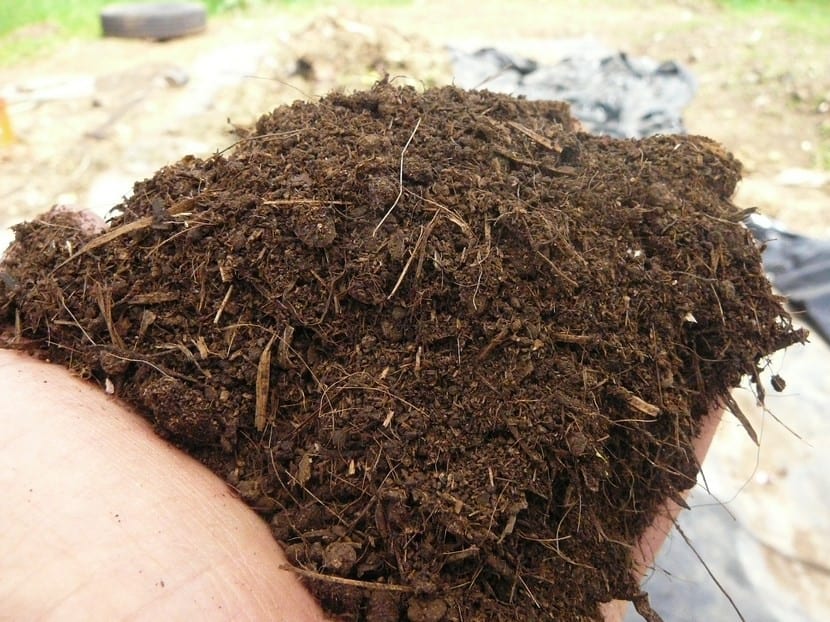 Abono natural para las plantas del jardín