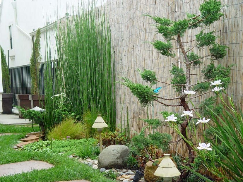 Diseñar un jardín zen: principios, rocas, grava y plantas