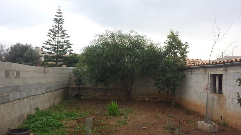 Diseño de un jardín: la fase de plantación paso a paso