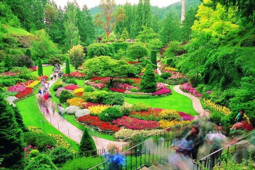 Jardines Shalimar y Butchart: qué enseñan a un jardinero
