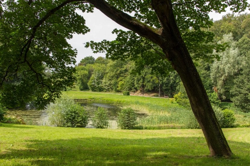 Sendero entre colecciones de plantas en un jardín botánico
