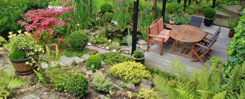 Jardín de poco riego: cómo lograrlo de verdad en España