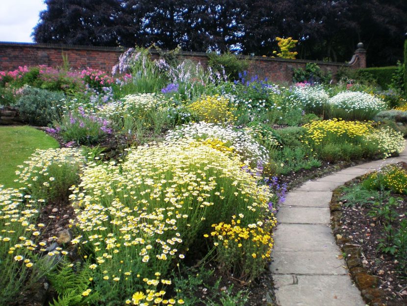 Jardín con macizos de arbustos y flores