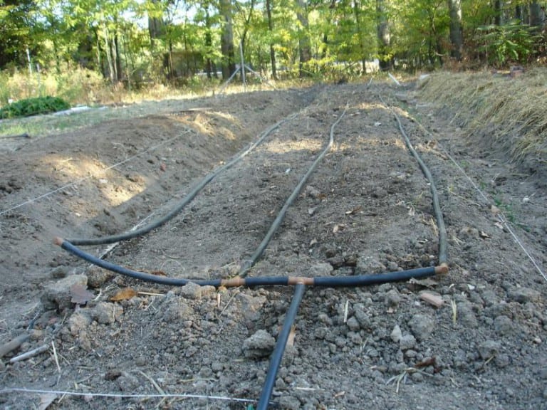 Línea de riego por goteo instalada en un parterre