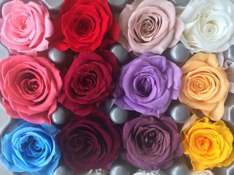 Mejores Rosas Preservadas