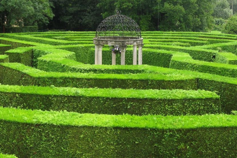 Siete laberintos vegetales célebres y las plantas que los forman