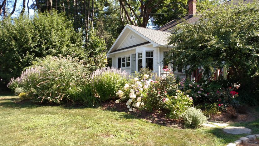 Jardín delantero de una vivienda con árbol y césped