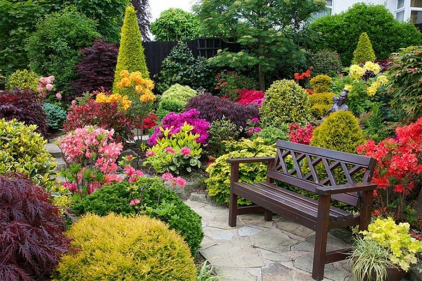 Decorar exteriores con plantas: guía práctica