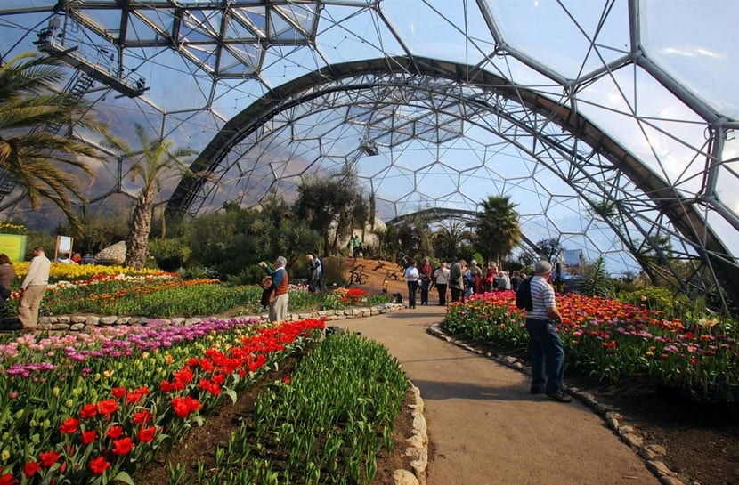 Interior del bioma tropical del Proyecto Edén con vegetación de gran porte