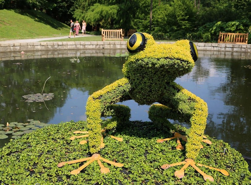 Detalle del follaje de una escultura vegetal del jardín botánico de Atlanta