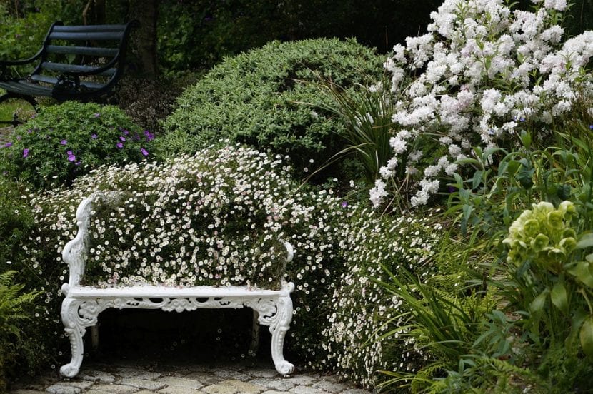 Banco de jardín usado como soporte para macetas con plantas