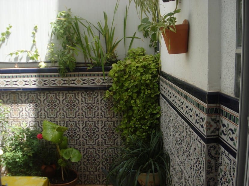 Rincón de patio interior con macetas y accesorios decorativos