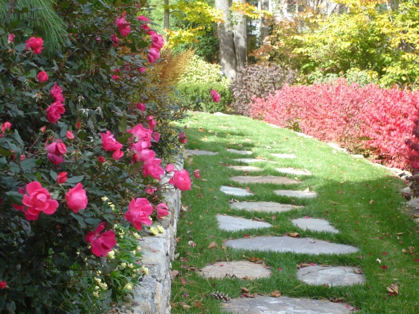 Sendero de piedra atravesando un jardín con vegetación a ambos lados