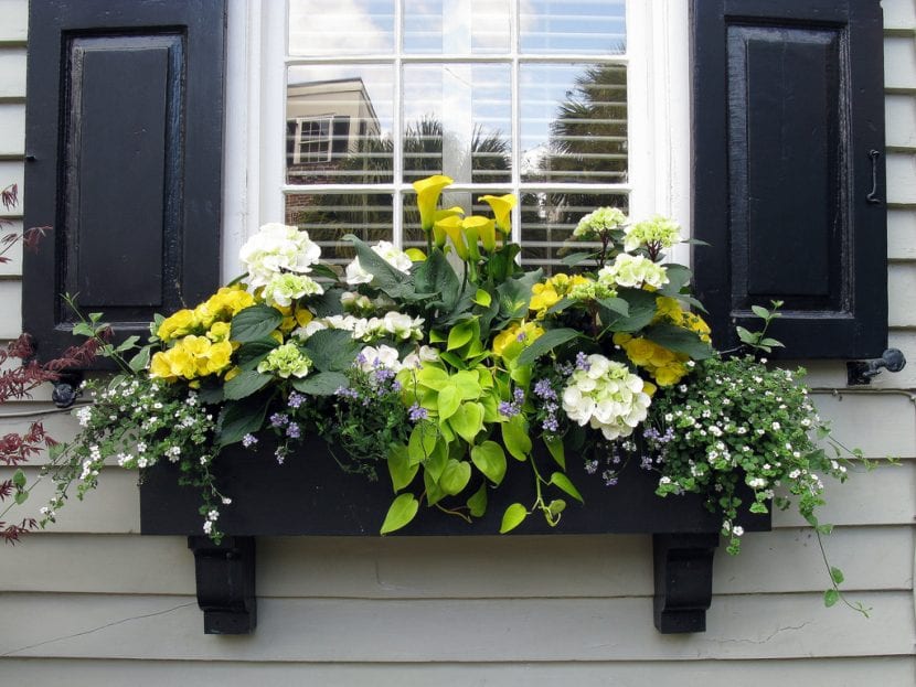 Jardinera de obra con plantas de distintos portes y texturas