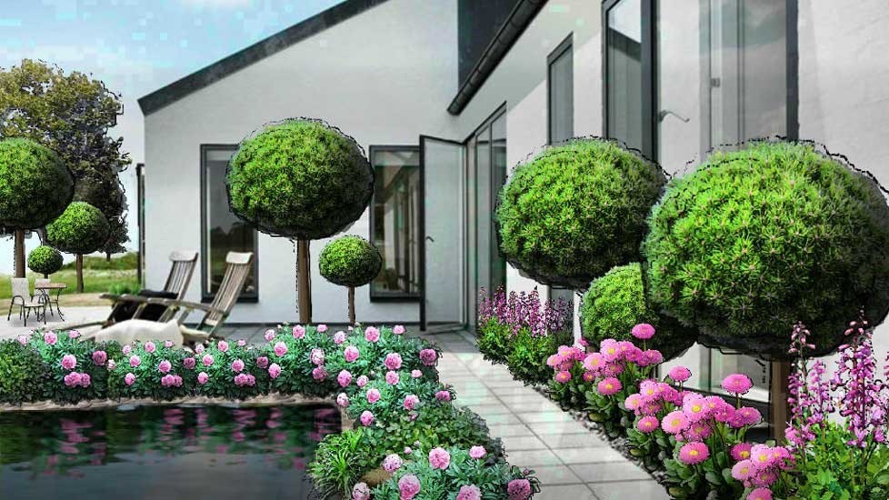 Programas para diseñar jardines: cuál usar en cada caso