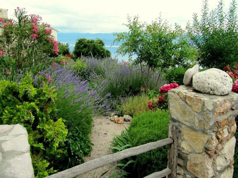 Jardín mediterráneo con pavimento, macetas y vegetación de secano