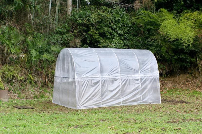 Invernadero de plástico para resguardar palmeras en invierno