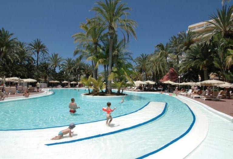 Palmera situada a distancia del vaso de una piscina