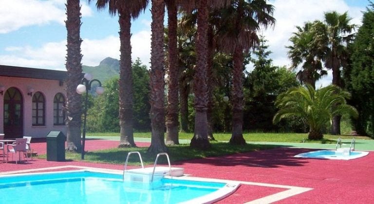 Palmeras plantadas junto al perímetro de una piscina