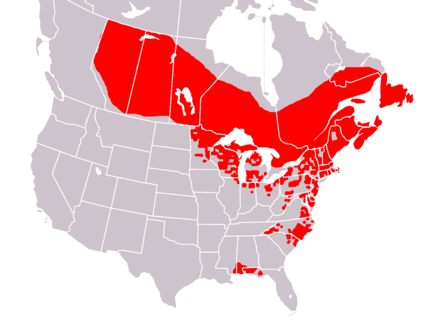 Mapa de distribución natural de la Sarracenia purpurea en Norteamérica