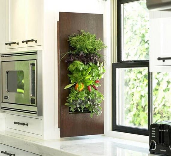 Macetas con plantas y aromáticas decorando una cocina