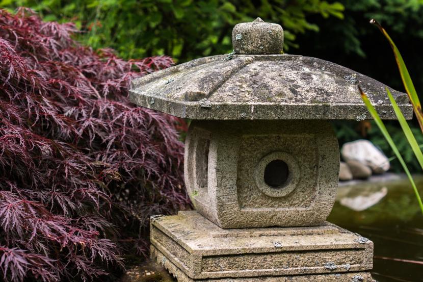 Salón con plantas de interior distribuidas según los principios del feng shui