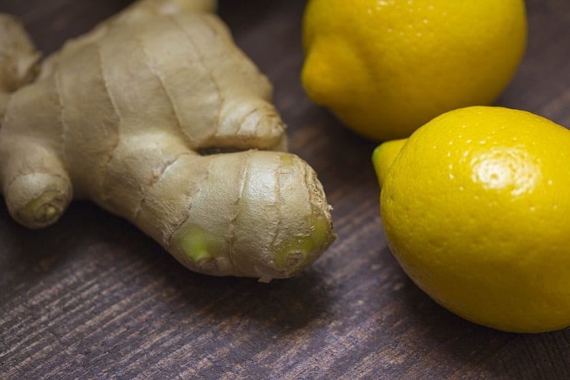 Cómo cultivar jengibre en casa paso a paso