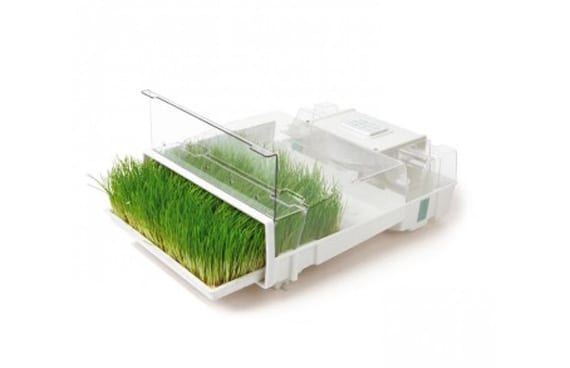 Germinador eléctrico automático para brotes