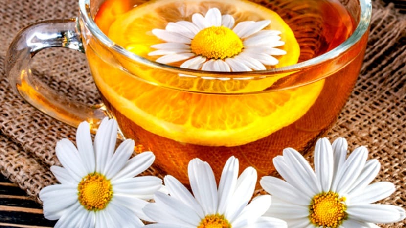 Infusión de manzanilla recién preparada