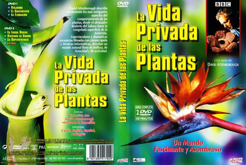 Fotograma de la serie La vida privada de las plantas