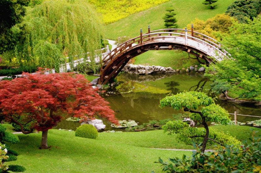 Rincón de jardín umbrío con vegetación de sombra