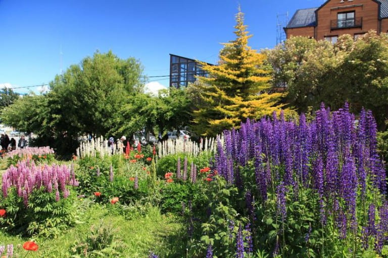Jardín en primavera con plantas de floración aromática