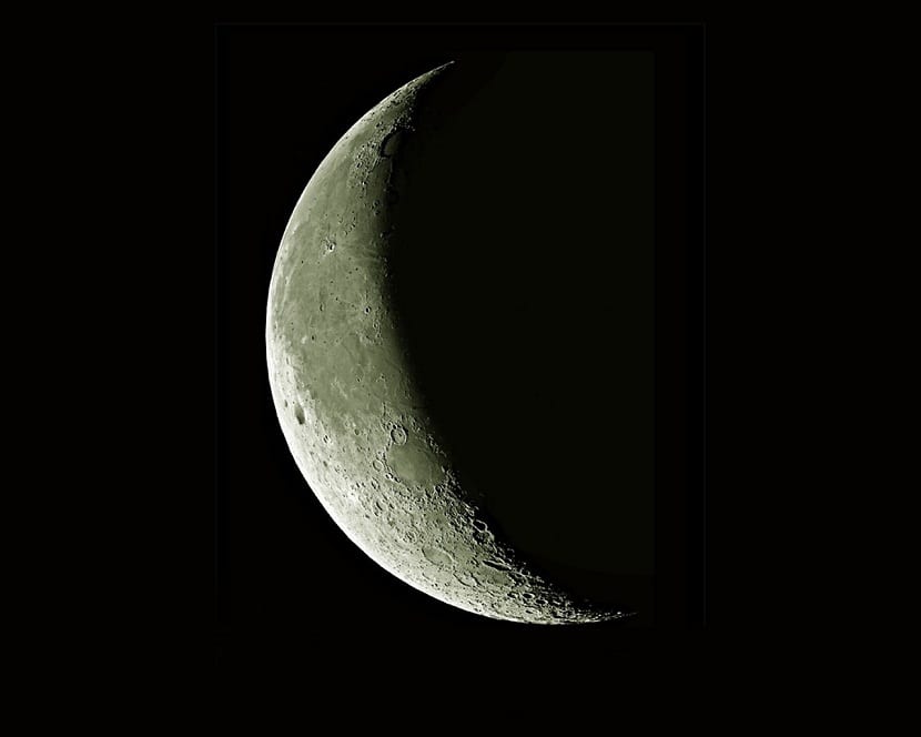 Luna menguante, fase asociada a raíces y podas