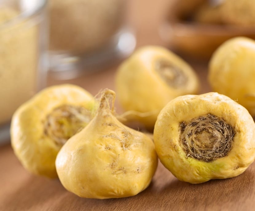 Maca (Lepidium meyenii): cultivo, propiedades y evidencia