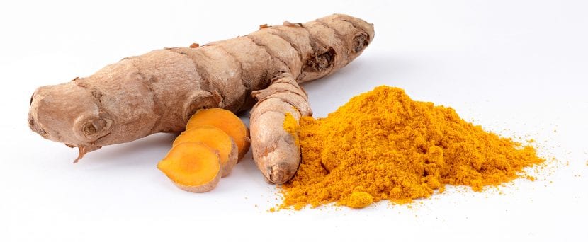 Mata de Curcuma longa con sus hojas grandes