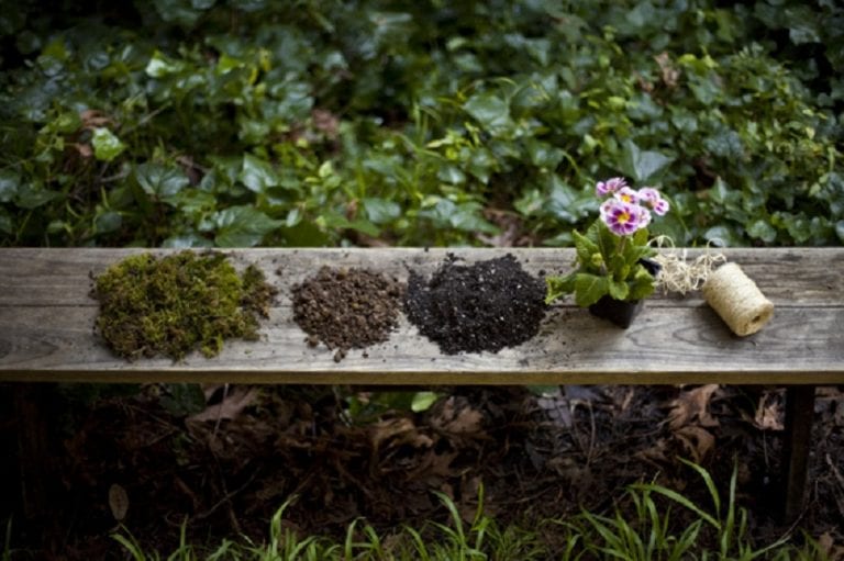 Kokedamas de distintos tamaños formando un pequeño jardín