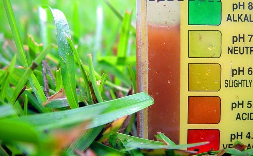 Importancia del pH del suelo para las plantas