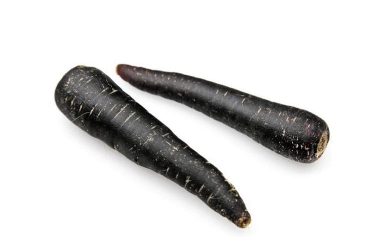 Zanahorias negras recién arrancadas del huerto