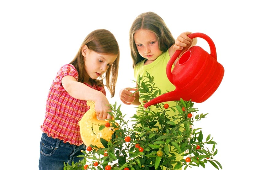 Niñas regando plantas con regadera