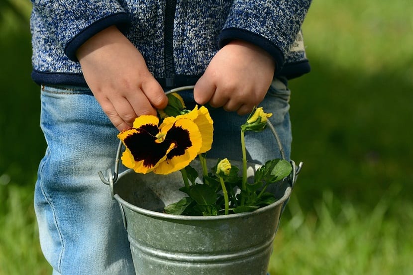 Niños manipulando plantas y tierra