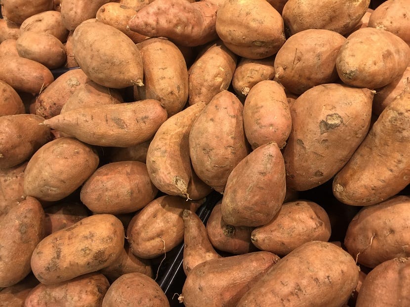 Boniato o batata, ejemplo de raíz tuberosa