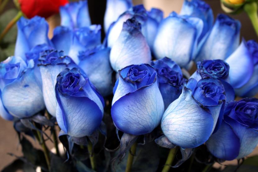 Ramo de flores teñidas de azul