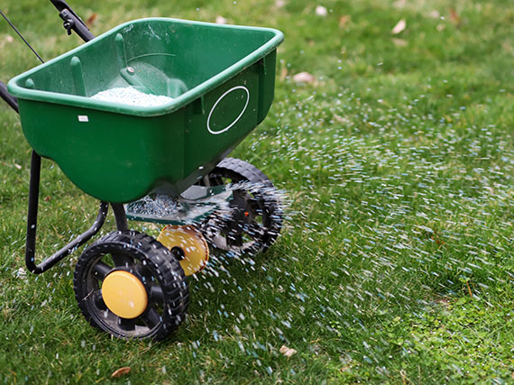 Césped: terapia de choque de primavera