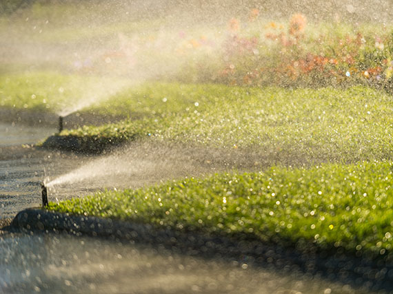 Cómo calcular el riego por aspersión
