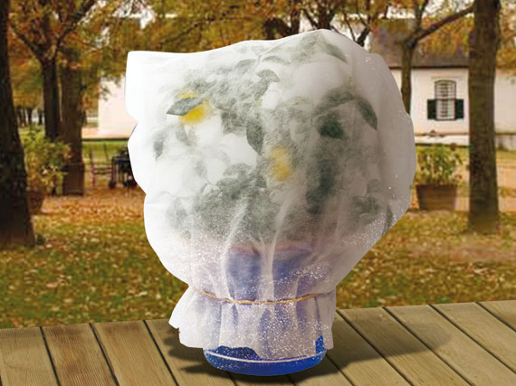 Proteger las plantas del frío