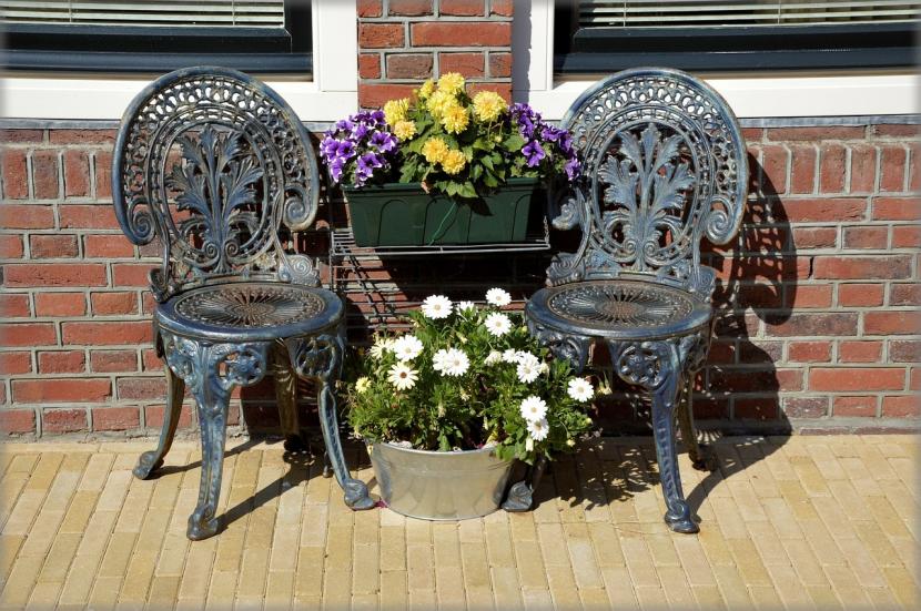 Patio exterior con plantas expuestas al aire