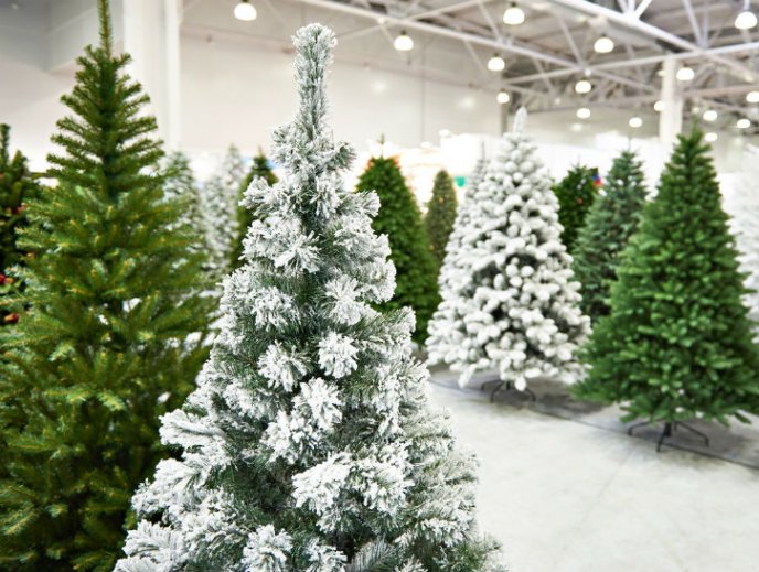 Árboles de navidad: tipos, características, tamaño, variedades, colores…