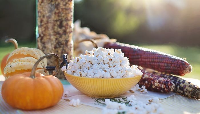 Cuenco de palomitas junto a mazorcas de maíz de grano pequeño