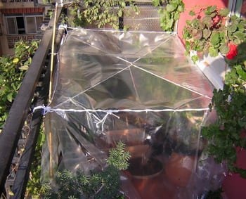 Invernadero doméstico montado en el huerto